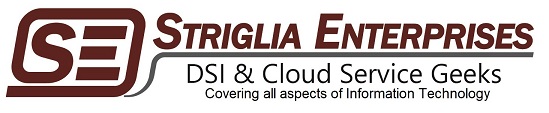 Striglia Enterprises